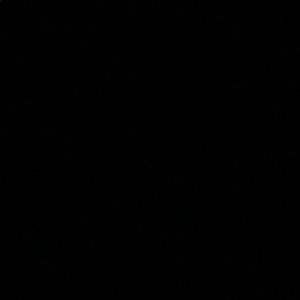 Meet your Posher, Walter